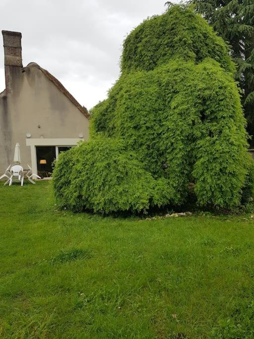 Chaumiere Avec Sa Toiture Recouverte De Chaume !!! 多讷曼圣马梅 外观 照片